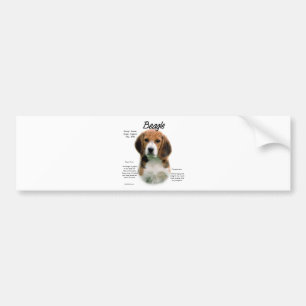 Beagle History; Allt om Beagles Bildekal
