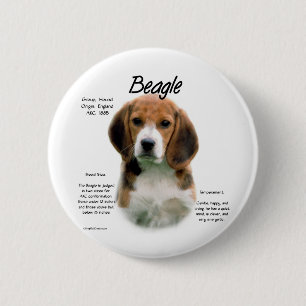 Beagle History; Allt om Beagles Knapp