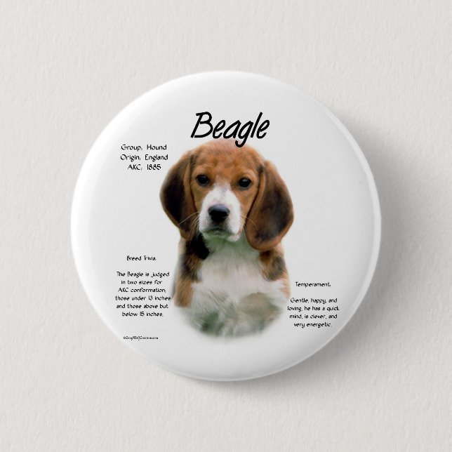 Beagle History; Allt om Beagles Knapp (Framsida)