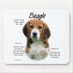 Beagle History; Allt om Beagles Musmatta