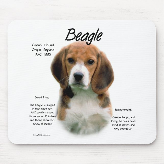 Beagle History; Allt om Beagles Musmatta (Framsidan)