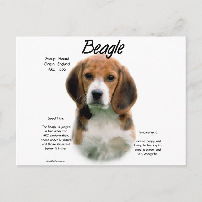 Beagle History; Allt om Beagles Vykort (Framsida)