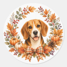 Beagle höstkrans