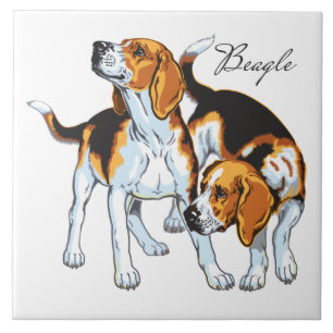 beagle hound kakelplatta