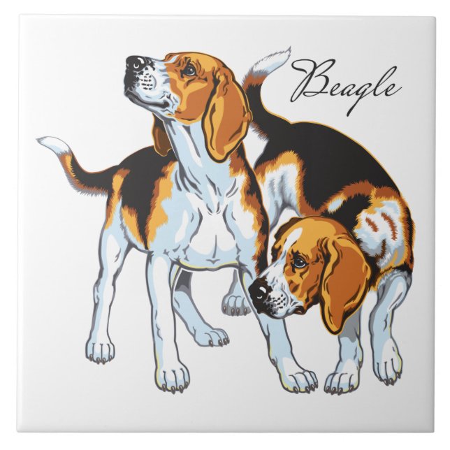 beagle hound kakelplatta (Framsidan)