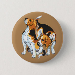 beagle hound knapp