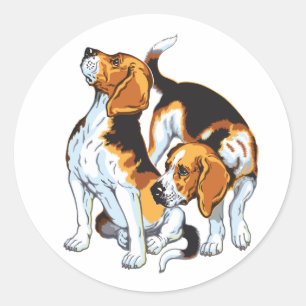 beagle hound runt klistermärke