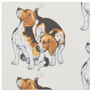 beagle hound tyg