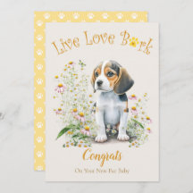 Beagle Hund Adoption, Gotcha Day