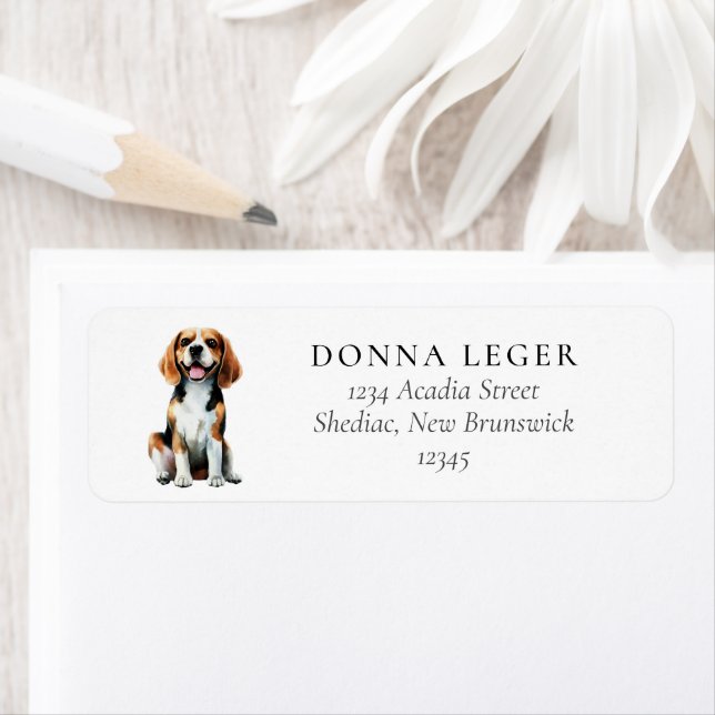 Beagle Hund Adress Returadress Etikett (Insitu)