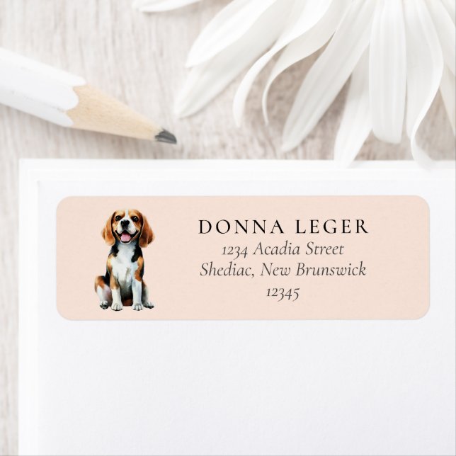 Beagle Hund Adress Returadress Etikett (Insitu)