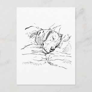 Beagle Hund Älskare Illustration  Vykort