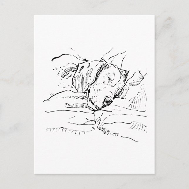 Beagle Hund Älskare Illustration  Vykort (Framsida)