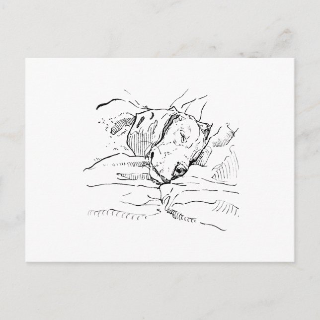 Beagle Hund Älskare Illustration  Vykort (Framsida)