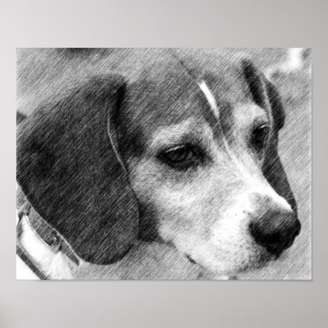 Beagle Hund Ansikte Pencil Art #2 Poster (Framsidan)