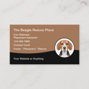 Beagle Hund aveln Rädding Foster Care Visitkort