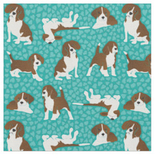 Beagle hund aveln - turkos tyg