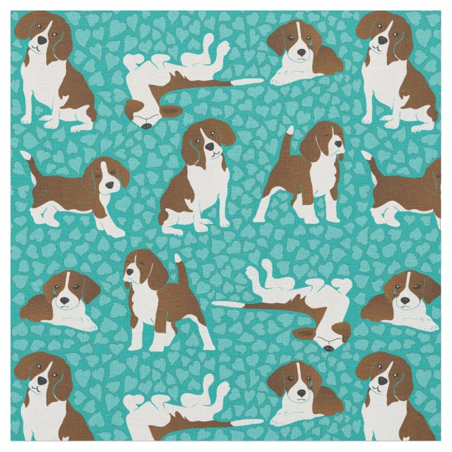 Beagle hund aveln - turkos tyg (Närbild)