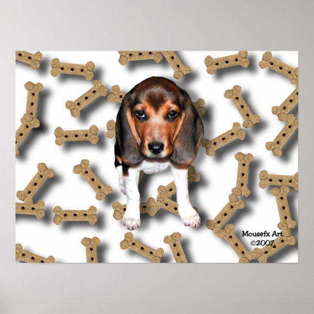 Beagle & Hund Biscuits Poster (Framsidan)