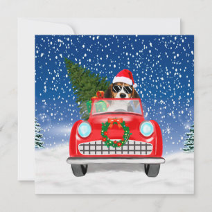 Beagle Hund Driving Car i Snö jul Kort
