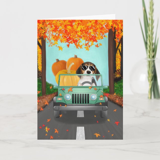 Beagle Hund Fall Pumpkin Kort (Framsida)