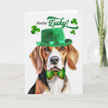 Beagle Hund Feelin' Lucky St patrick's day