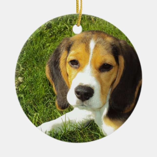 Beagle Hund Husdjur Fred Kärlek Julgransprydnad Keramik (Framsidan)