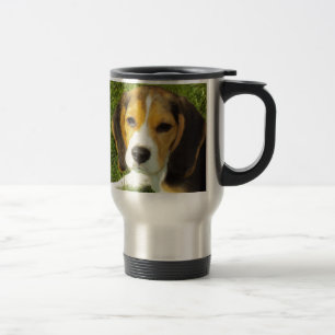 Beagle Hund Husdjur Frid Kärlek Resemugg