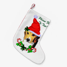 Beagle Hund jul