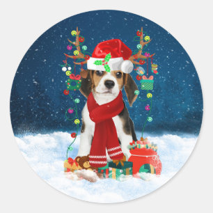 Beagle hund med julklappar runt klistermärke