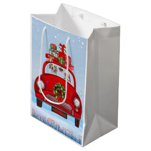 Beagle Hund med Jultomten