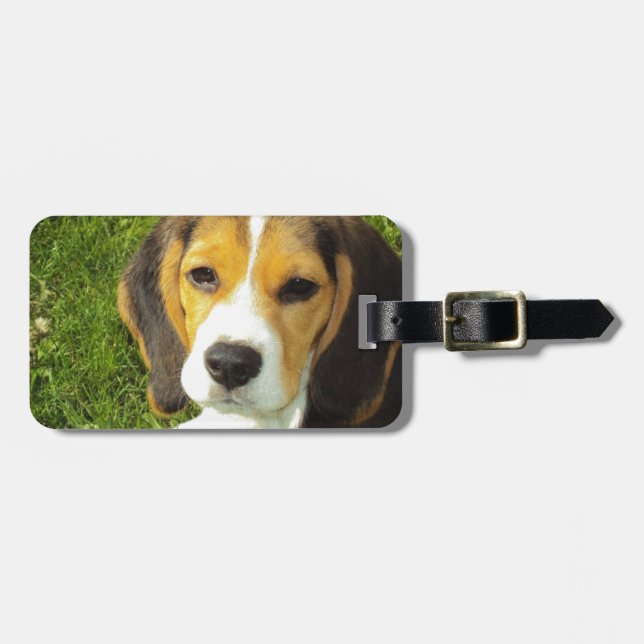 Beagle Hund Pet Animals Peace Kärlek Bagagebricka (Horisontell Framsida)