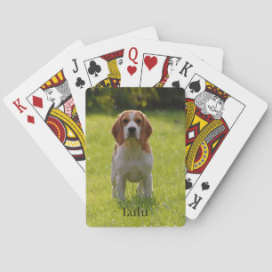 Beagle Hund Photo och Namn Personlig Casinokort