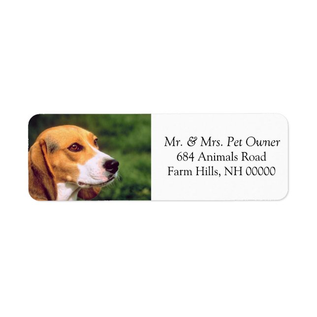 Beagle Hund Returadress Mailing Stickers Etikett (Framsidan)
