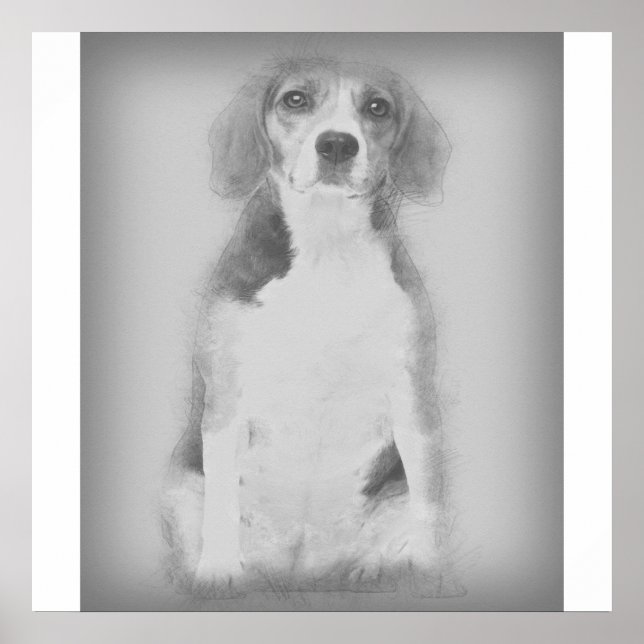Beagle-Hund ritas med en penna Poster (Framsidan)
