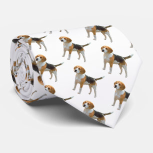 Beagle Hund Slips