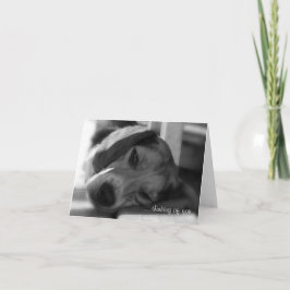 Beagle Hund Snoopy-slutfoto Kort