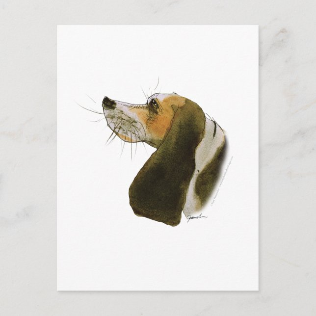 Beagle hund, tony fernandes vykort (Framsida)
