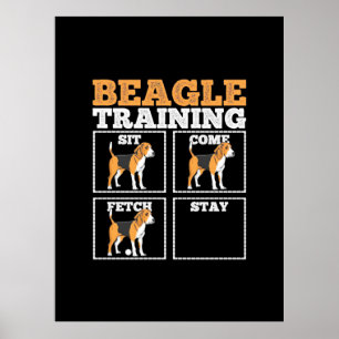 Beagle Hund Training Hund Poster