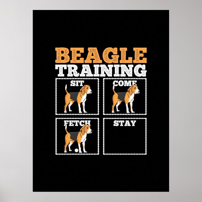 Beagle Hund Training Hund Poster (Framsidan)