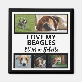 Beagle Hundägare och Proud Puppy Hund Photo Collag Magnet