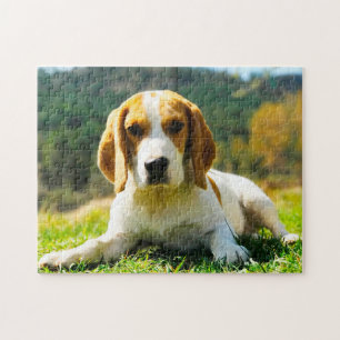 Beagle Hundar. Pussel
