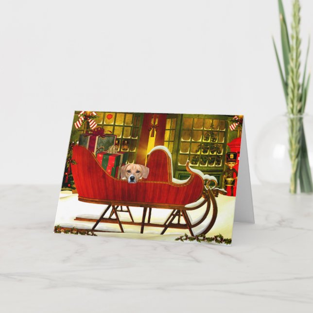 Beagle i en julklapp helgkort (Framsida)