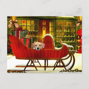 Beagle i en julsleigh helg vykort