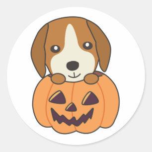 Beagle i klassen Pumpkin Sweet Hundar Happy hallow Runt Klistermärke