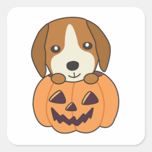 Beagle in Pumpkin Sweet Hundar Happy halloween Squ Fyrkantigt Klistermärke