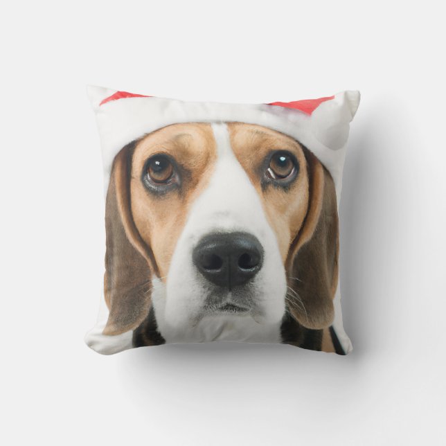 Beagle-jul Kudde (Framsida)