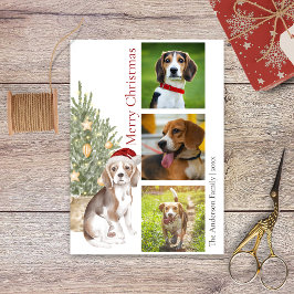 Beagle Julgran Pet Hund Photo Julkort