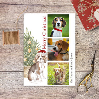Beagle Julgran Pet Hund Photo Julkort