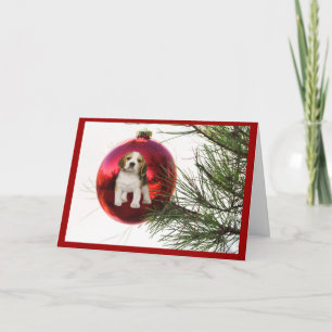 Beagle-julkort Boll Helgkort